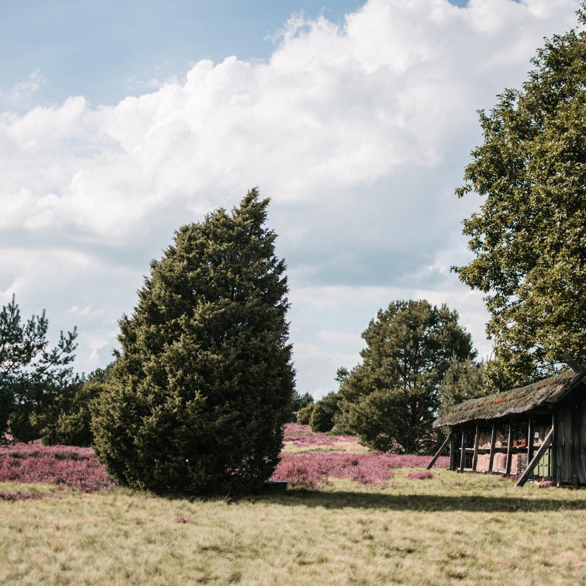 Eigentlich – ein&nbsp;Déjà-vu